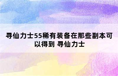 寻仙力士55稀有装备在那些副本可以得到 寻仙力士